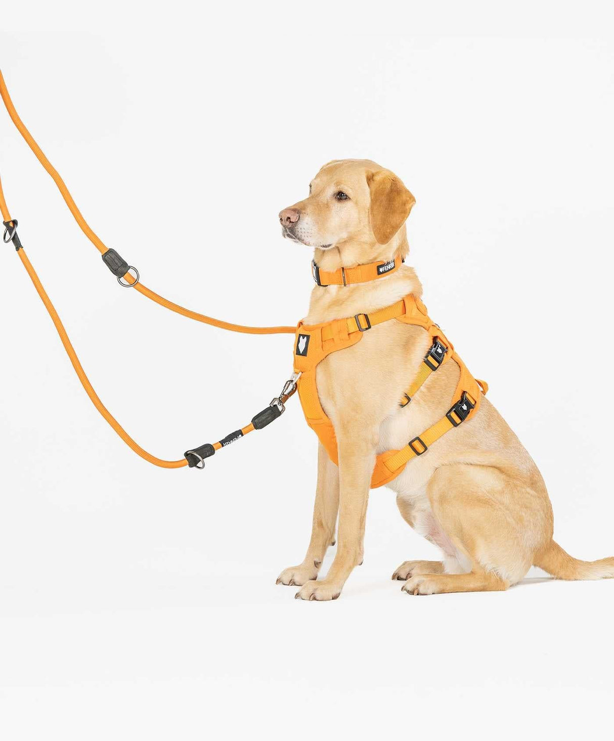 Fenrir Canine Leaders Orange Ragnar Dog Training Leash