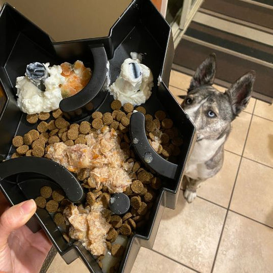 Fenrir Large Slow Feeding Interactive Enrichment Puzzle Bowl for Dogs Black