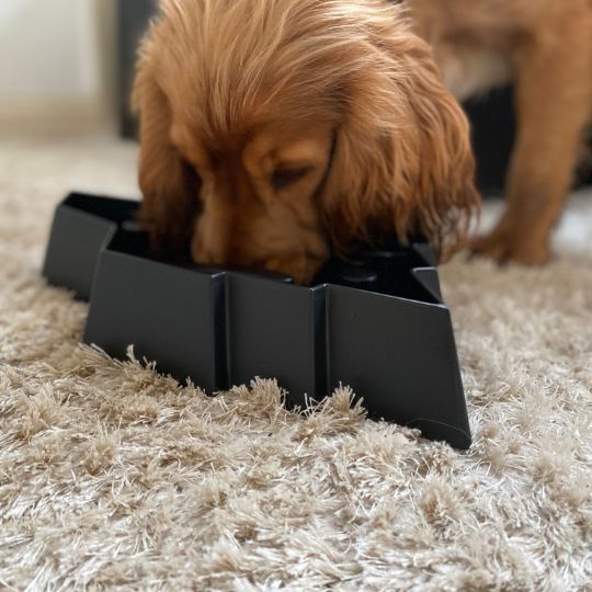 Pet puzzle outlet bowl