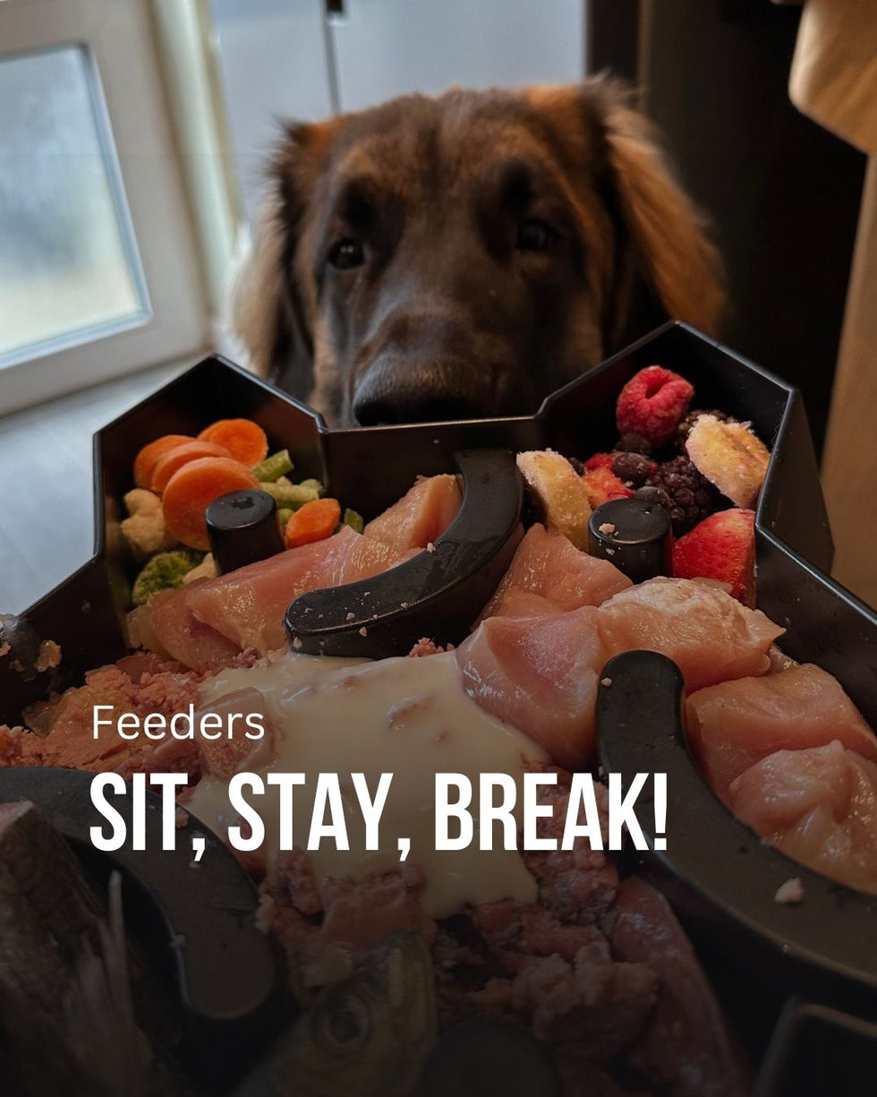 Fenrir Puzzle Bowl for Dog- The Biggest Slow Feeder Dog Bowl – Fenrir Canine  Leaders