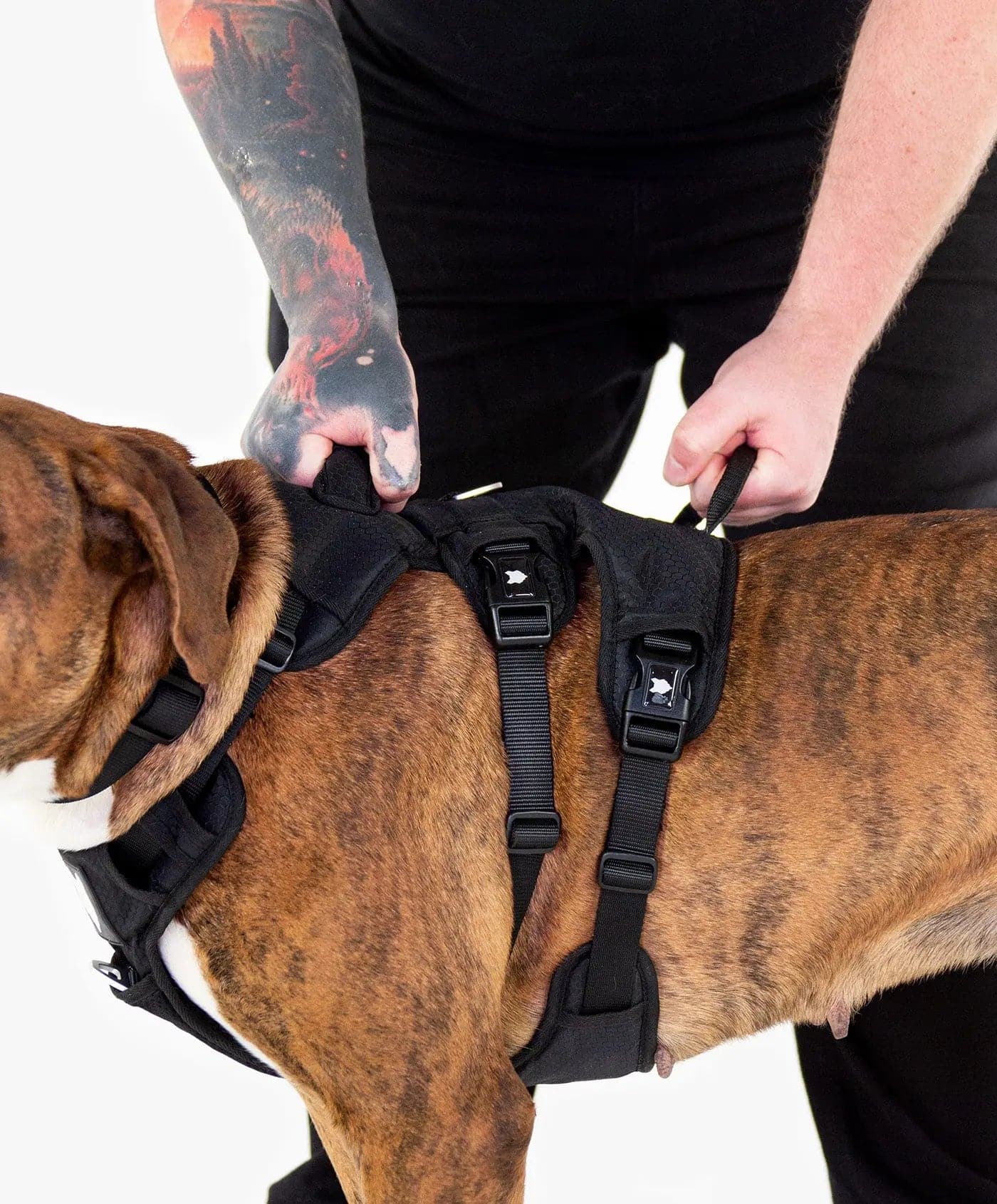 Ragnar Dog Harness Tough and Durable Dog Harness Fenrir Canine Leaders