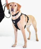 Fenrir Canine Leaders Ragnar Dog Harness