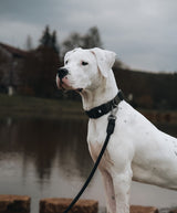 Fenrir Canine Leaders Ragnar Dog Leash