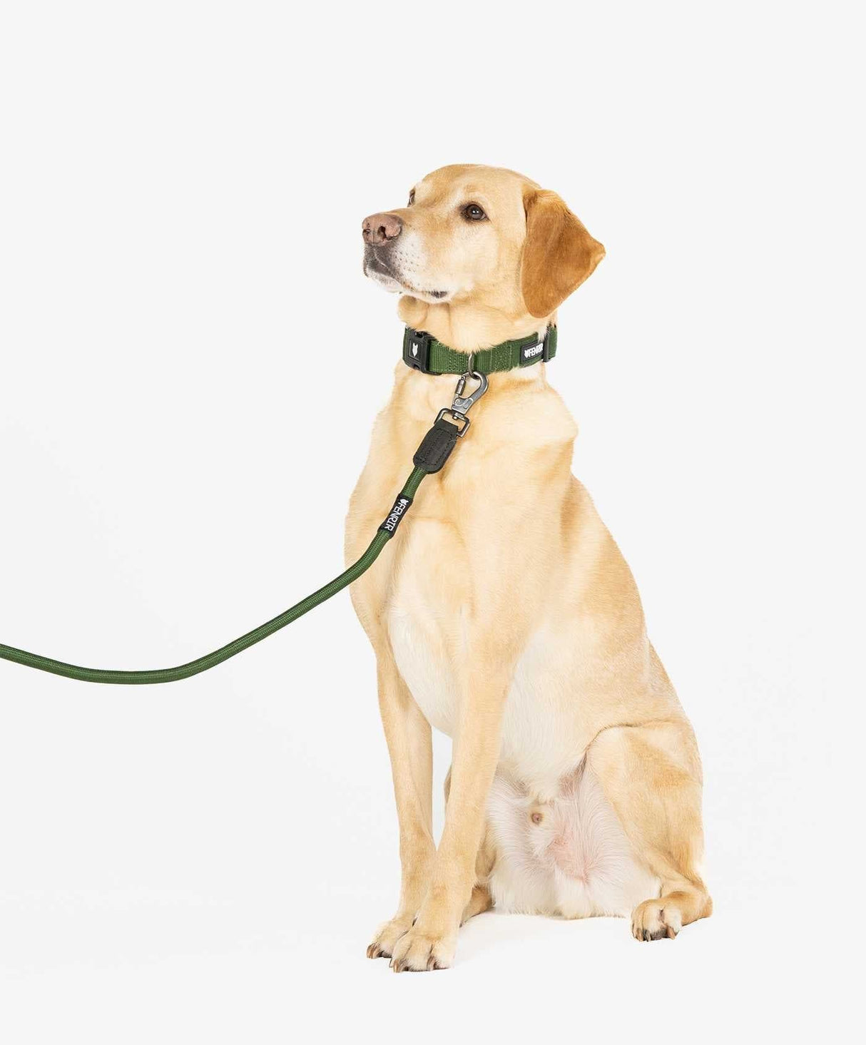 https://fenrircanineleaders.com/cdn/shop/files/fenrir-canine-leaders-ragnar-dog-leash-ragnar-dog-leash-the-perfect-everyday-dog-leash-30357975695448.jpg?v=1694161798&width=1214