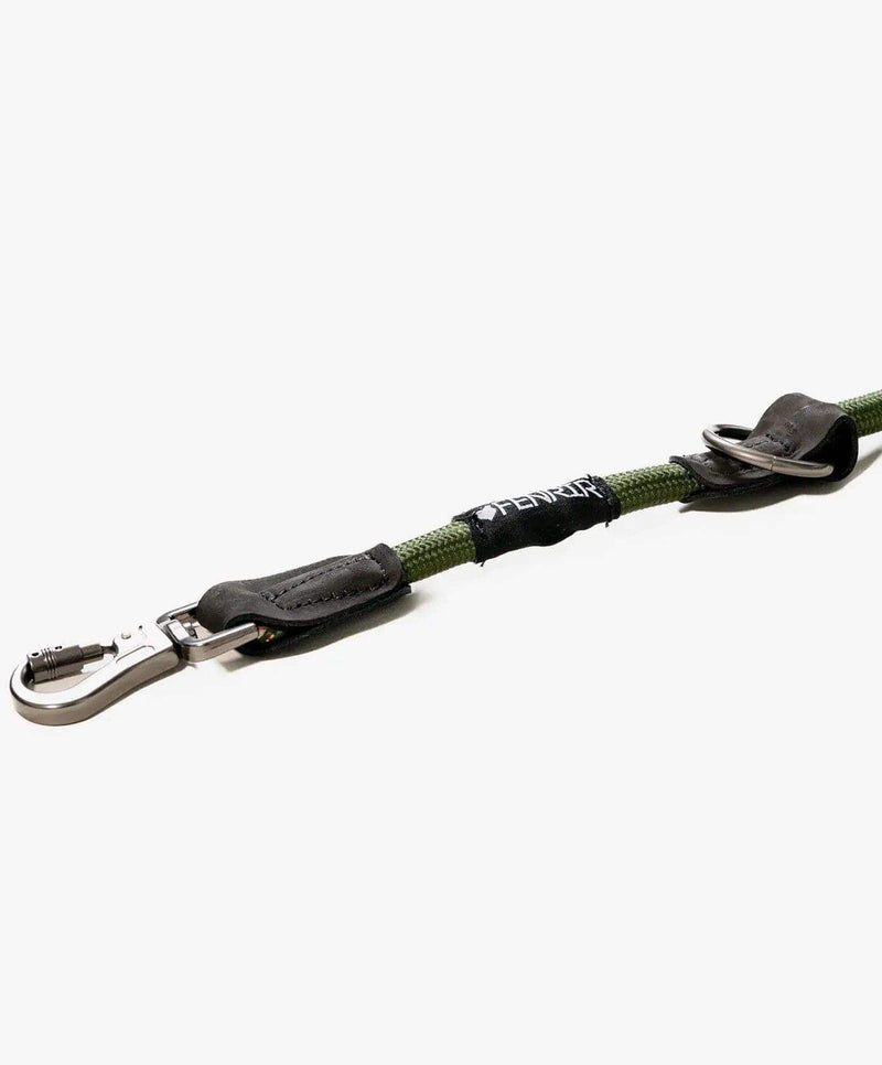 Ragnar Dog Training Leash Endless Combinations and Possibilities