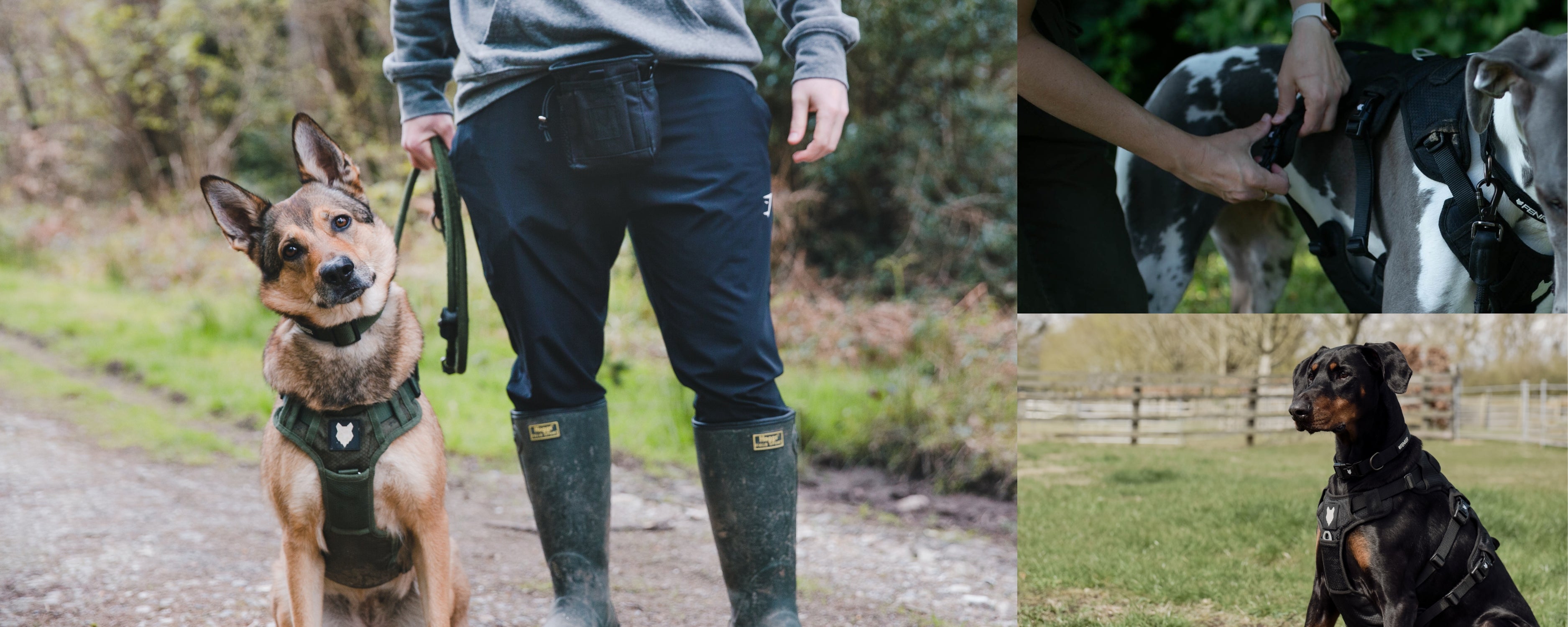 Ragnar Dog Harness Tough and Durable Dog Harness Fenrir Canine Leaders