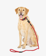 Fenrir Canine Leaders Red Ragnar Dog Leash