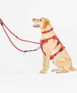 Fenrir Canine Leaders Red Ragnar Dog Training Leash