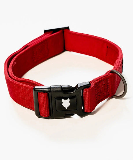 Fenrir Canine Leaders Red / XXL Ragnar Dog Collar