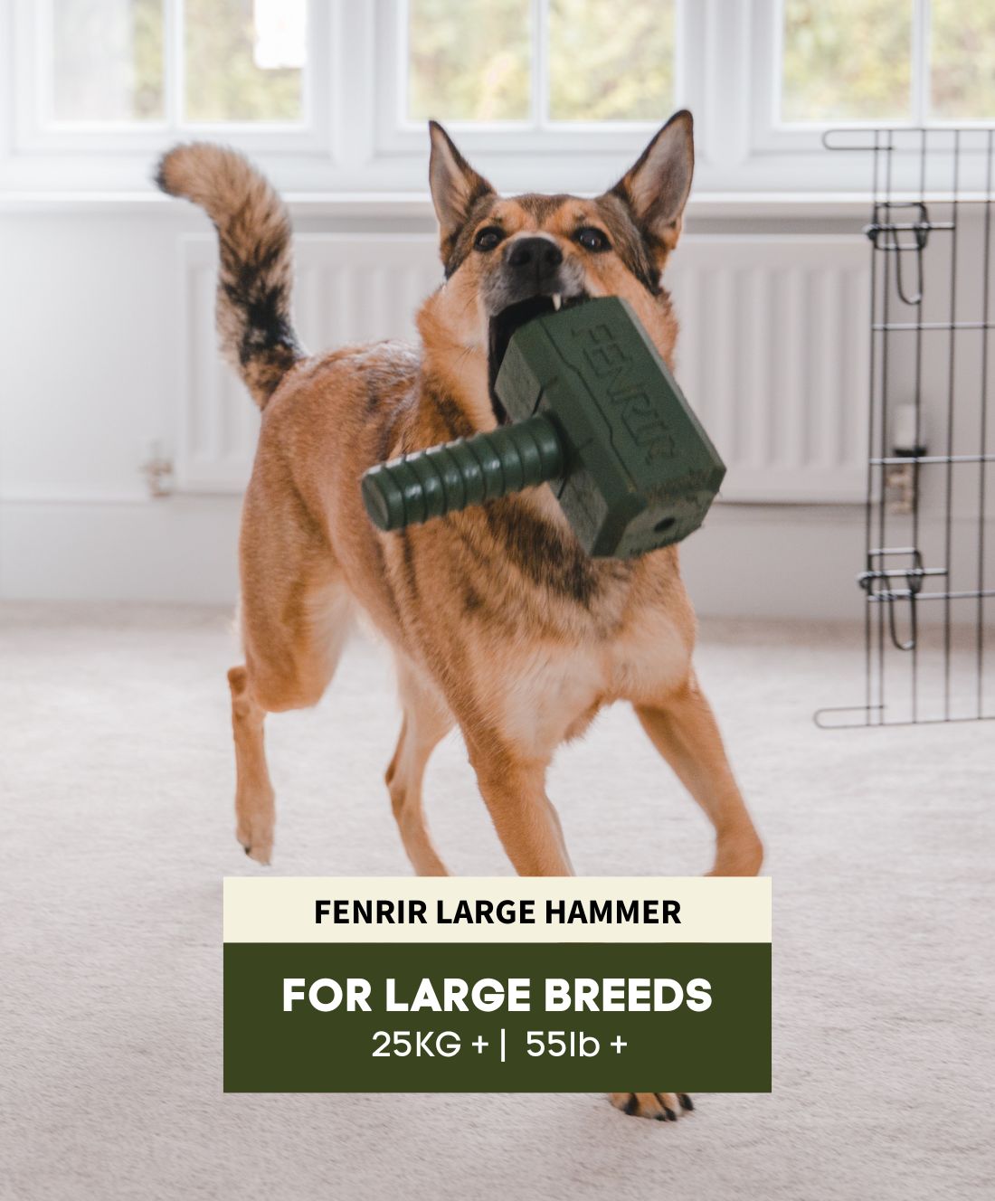 The Fenrir Hammer Dog Chew Toy Fenrir Canine Leaders