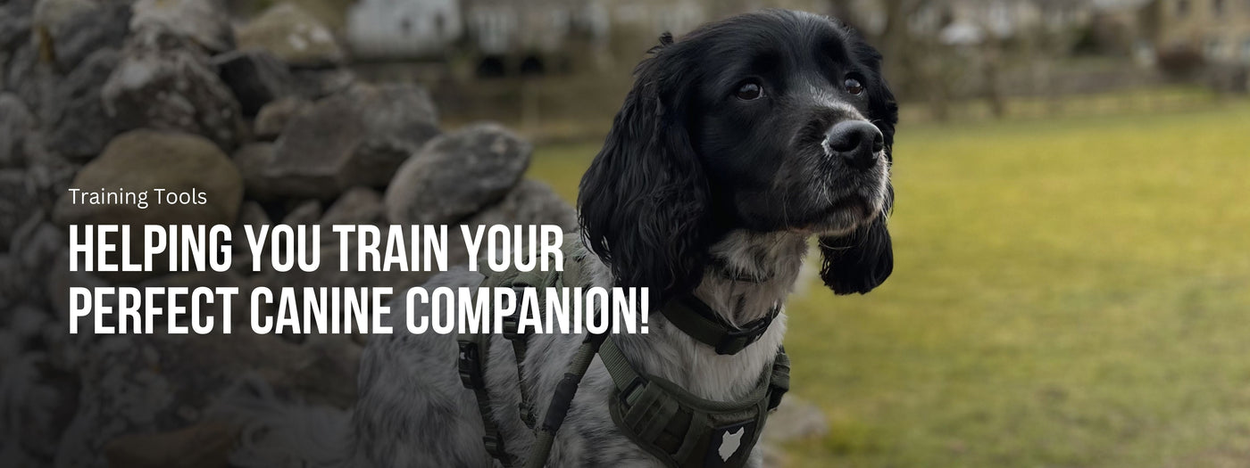 Dog Training Tools - Dog Treat Pouch - Fenrir Canine Leaders