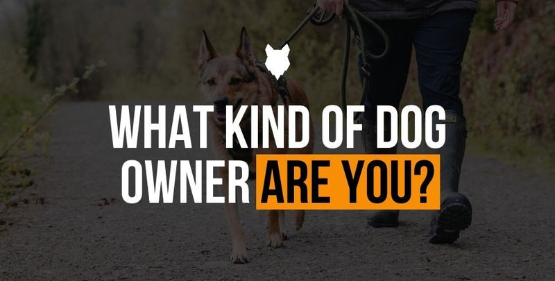 fenrir canine leaders what kind of dog owner are you quiz banner
